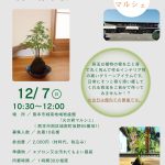 12月7日(日) グリーンインテリア「苔玉作り教室」
